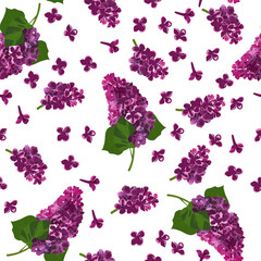 A seamless pattern of Lilac flower. vector illustration. flower background.