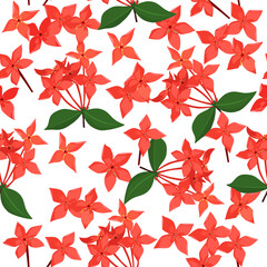 A seamless pattern of Ixora flowers. vector illustration. flower background.