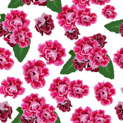 A seamless pattern of colorful Gloxinia flowers. vector illustration. flower background.