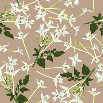 A seamless pattern of Indian cork flowers. vector illustration. flower background.