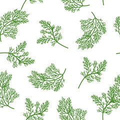 A seamless pattern of Dill. vector illustration.