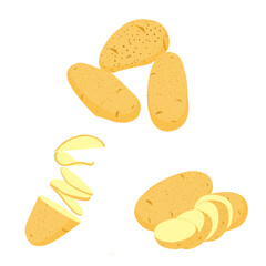 Set of Potato isolated on a white background. vector illustration.