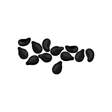 Set of Sesame isolated on a white background. vector illustration.