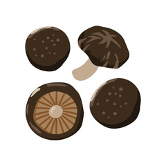 Set of Shiitake mushrooms isolated on a white background. vector illustration.