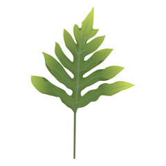 A single leaf of Phlebodium aureum isolated on a white background. vector illustration. 