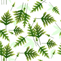 A seamless pattern of Phlebodium aureum. vector illustration. 