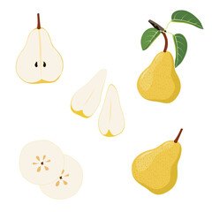 Set of Pear isolated on a white background. vector illustration.
