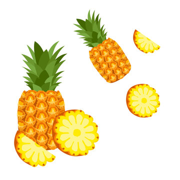 Set of Pineapple with cut isolated on a white background. vector illustration.