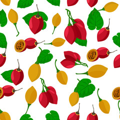 A seamless pattern of Tamarillo fruits. vector illustration.