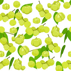A seamless pattern of Star gooseberry. vector illustration.