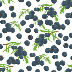 A seamless pattern of Juniper berries. vector illustration.