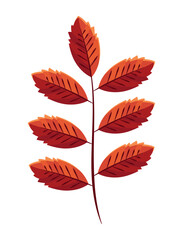 autumn leaves branch icon