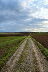 Fototapeta na wymiar Langgestreckter Feldweg führt geradeaus auf einem Hügel, vorbei an winterlichen Feldern bei Schweinfurt, Franken, Bayern, Deutschland 