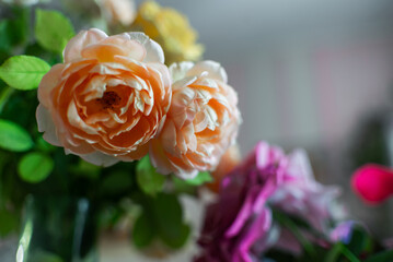 Stylish flowers close-up roses on a dark background, bright wallpaper for a smartphone, laptop, cover for printing and posters. High quality photo