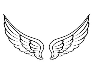 vector angel wings line art style	