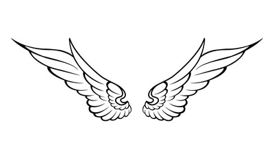 vector angel wings line art style	
