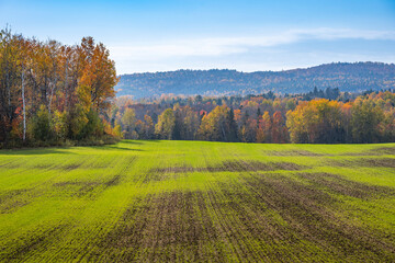 Fototapeta premium autumn in the mountains