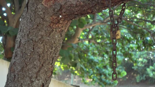 Eterno en la naturaleza 