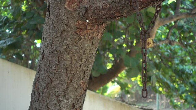 &Aacute;rbol encadenado