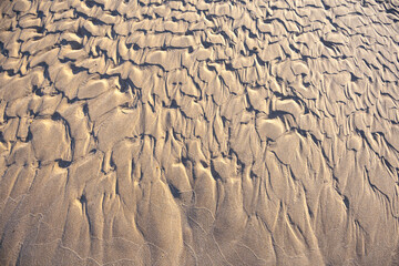 Sand ripple surface textures in low tide on beach. Created natures art pattern and Created on an art decoration background.