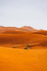 Abwaschbare Fototapete Orange Sand texture in Morocco Sahara Merzouga Desert after a rainy day