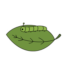 Caterpillar Eating a Leaf Illustration