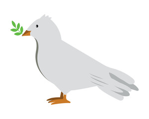 peace dove illustration