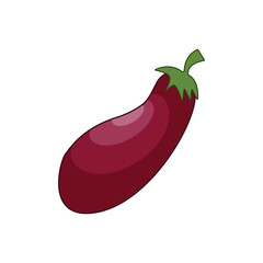 Eggplant. Ripe purple eggplant. Vegetable garden. Vegetarian organic product. Vector illustration isolated on a white background