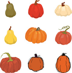 Set of Pumpkin of various shapes and colors. Thanksgiving and Halloween Elements.