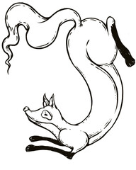 illustration of a fox