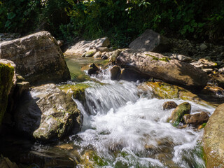 The rapids on the river. Mountain river flowing through the green forest. Stream in the wood. Small river flowing rapidly and vividly through its wild stony valley. Stormy rifts on a mountain river.
