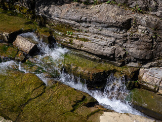 The rapids on the river. Mountain river flowing through the green forest. Stream in the wood. Small river flowing rapidly and vividly through its wild stony valley. Stormy rifts on a mountain river.