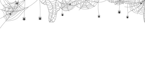 Halloween border with spiderweb and spiders.  Abstract texture of insect traps. Halloween design element. Isolated graphic template. Vector illustration.