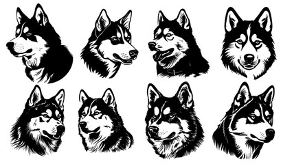 Vector husky dog heads set