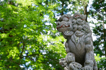 Fototapeta na wymiar 神社のお守りの狛犬