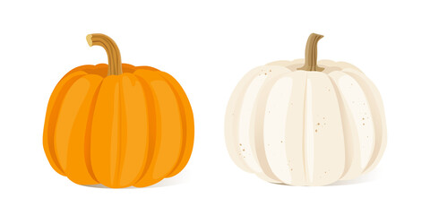 Two colorful pumpkins isolated on a white background