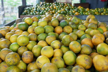 Piles of oranges being sold in a traditional market