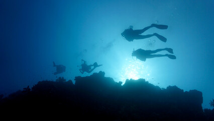 Fototapeta na wymiar Silhouette of scuba diver in rays of sunlight. 