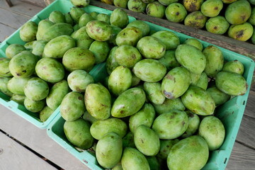 pile of mangoes on a wooden shelf for sale at a traditional market