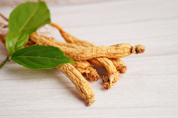 Ginseng roots and green leaf, organic nature healthy food.