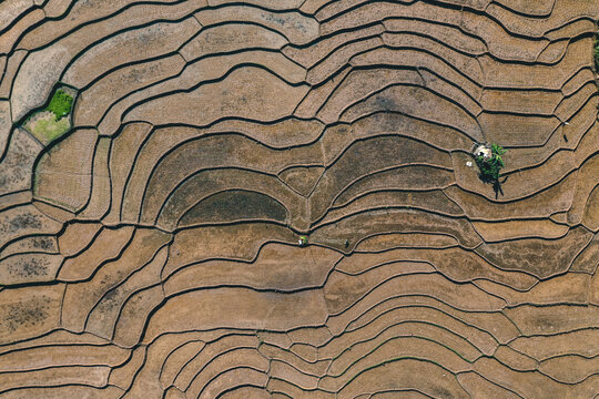 Aerial view of the surface texture of rice fields during planting time in a Bonjol village, Pasaman district