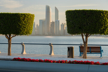 gestutzte Bäume, Wolkenkratzer, Abu Dhabi, Vereinigte Arabische Emirate