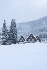Fototapeta premium 冬の白川郷