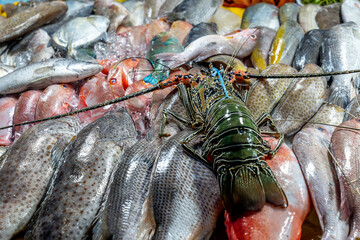 Local Produce at a Seafood Market, Kota Kinabalu, Sabah, Malaysia