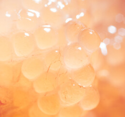 Close-up of fish caviar as a background.