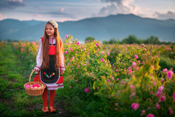 Bulgarian Rose Damascena field, Roses valley Kazanlak, Bulgaria. Girl in ethnic folklore clothing...