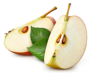 Apple leaf isolated on white background