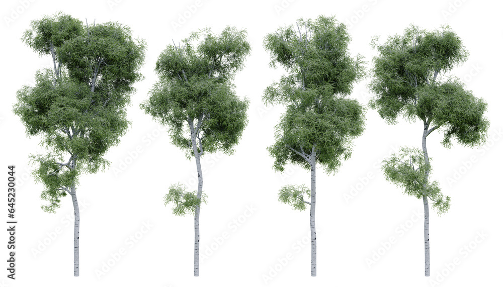 Fototapete birch tree on isolated background. 3d rendering of forest scape objects.
