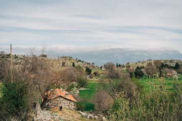 Obraz premium Scenic landscape view on old ancient vintage farm houses cabins standing in the valley and surrounded with green trees, mountains in the background under the cloudy sky