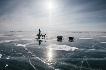 Walking woman and sled dogs pulling sleigh during  winter hike along frozen Lake Baikal